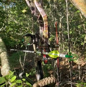 Meet your Posher, Stephen